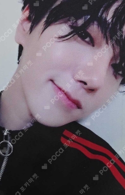 Pocamarket, SUPER JUNIOR YESUNG Spring Falling K-pop Photocard