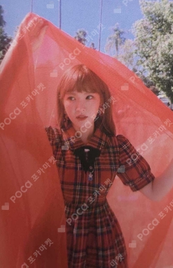 Pocamarket, Red Velvet WENDY The Red K-pop Photocard