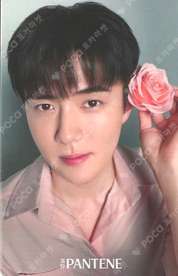 Pocamarket, EXO SEHUN EXO PLANET #4 The EℓyXiOn dot TICKET HOLDER