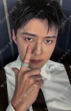 Pocamarket, EXO SEHUN EXO PLANET #4 The EℓyXiOn dot TICKET HOLDER