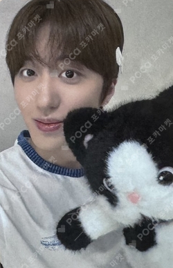 TENACITY Hellolive shop - SF9 - CHA NI