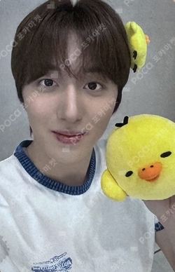 TENACITY Hellolive shop - SF9 - CHA NI