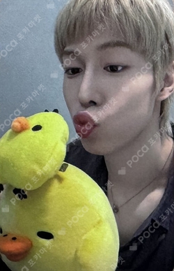 TENACITY Hellolive shop - SF9 - DAWON