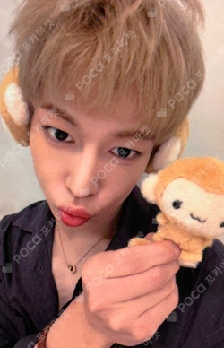 TENACITY Hellolive shop - SF9 - DAWON